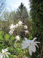 IMG 0571 1
